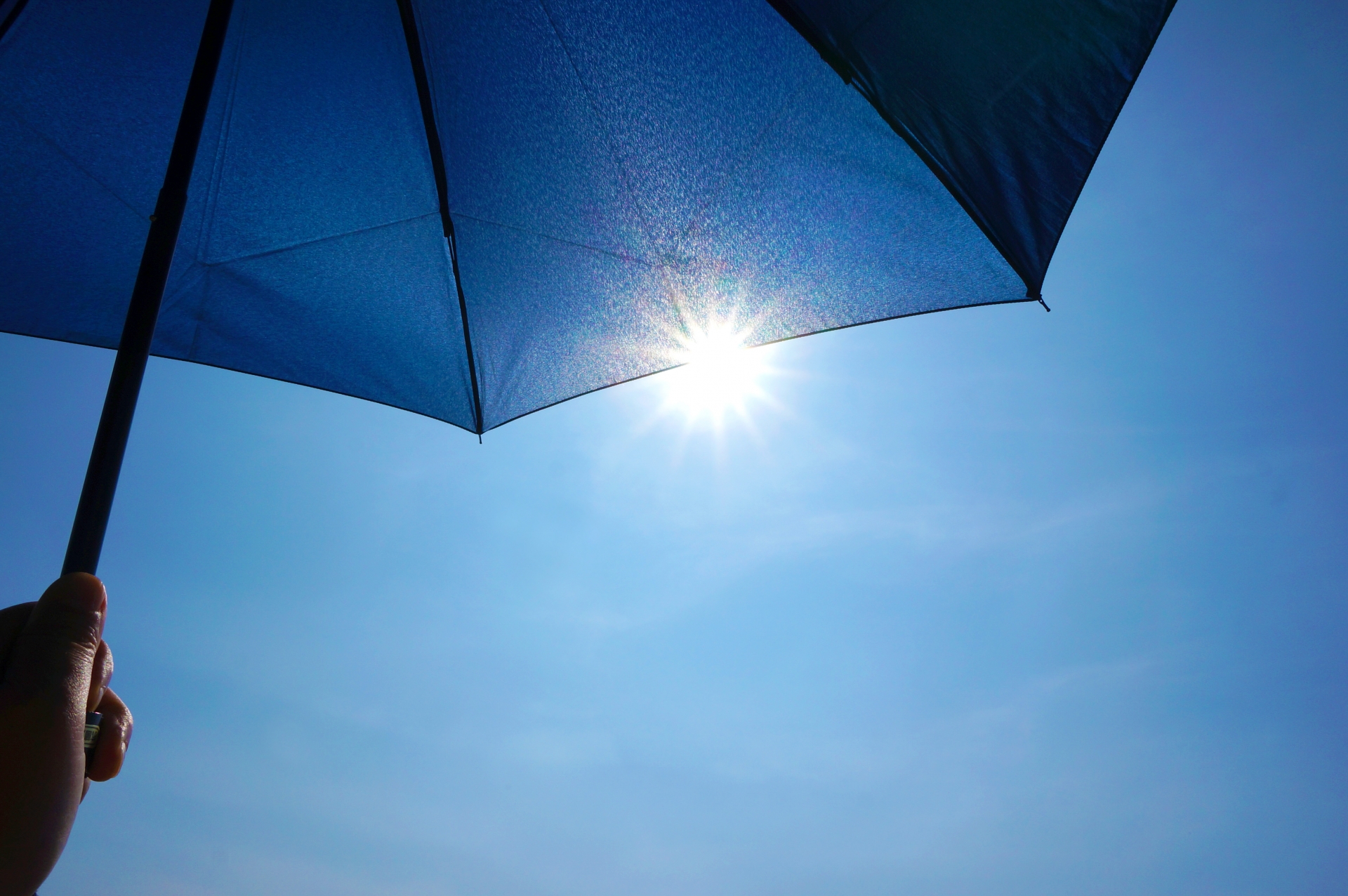 日傘で遮光している画像