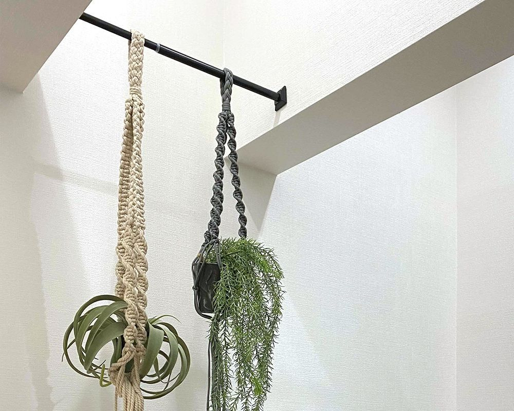 つっぱり棒にかけた植物