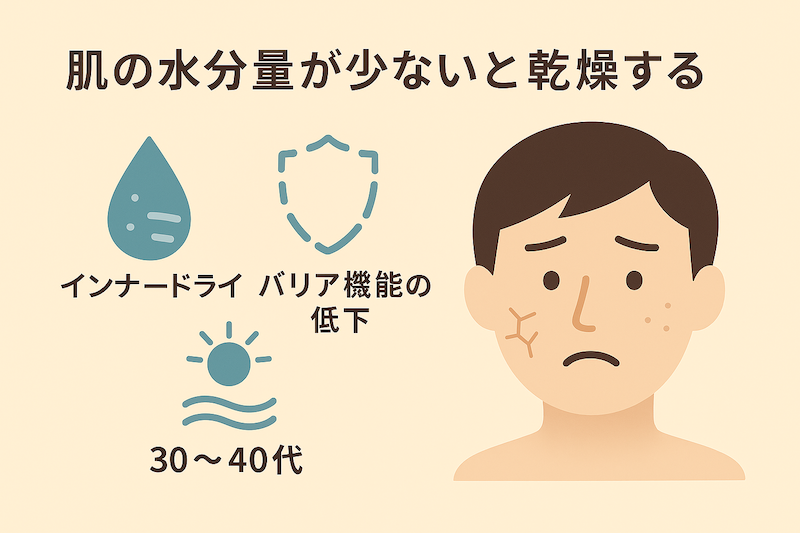 肌が乾燥する仕組み