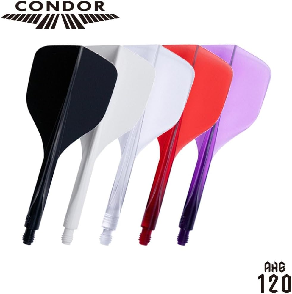 CONDOR AXE 120 フライト
