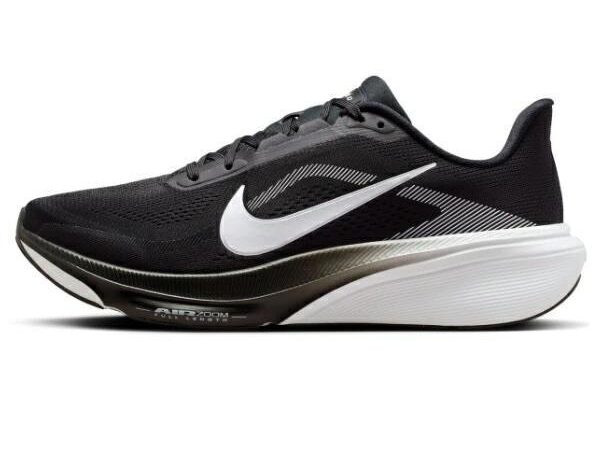 NIKE Pegasus42
